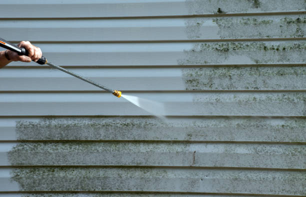 Best Best Pressure Washing Companies  in Greencastle, IN